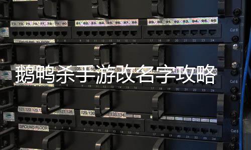 名字游改鸭杀怎么字攻略改名鹅鸭 鹅杀手手游